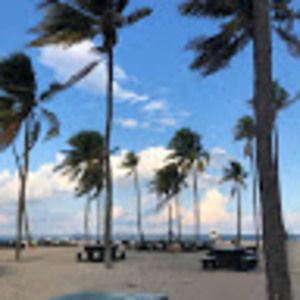 Meet your Posher, V. angela